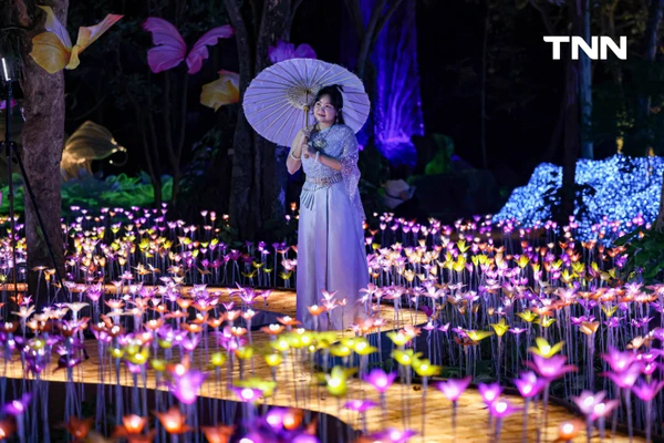 รูป-ณ สัทธา อุทยานไทย เนรมิตงานไฟ "Nasatta Light Festival 2026" สู่ สรวงสวรรค์นางฟ้า สุดตระการตาน้อมนำพระราชดำริด้านอนุรักษ์ของ สมเด็จพระพันปีหลวง-19
