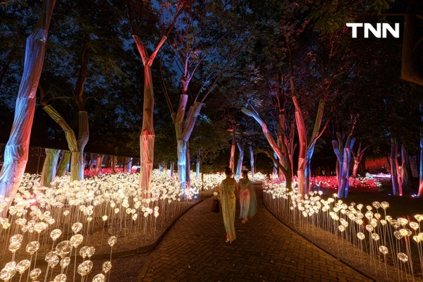 รูป-ณ สัทธา อุทยานไทย เนรมิตงานไฟ "Nasatta Light Festival 2026" สู่ สรวงสวรรค์นางฟ้า สุดตระการตาน้อมนำพระราชดำริด้านอนุรักษ์ของ สมเด็จพระพันปีหลวง-6