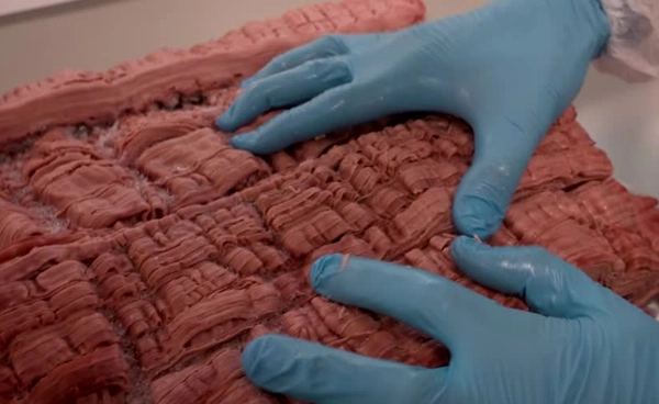 “Novameat” ปรับเกม ดัน “โปรตีนพืช” ผสมเนื้อสัตว์ เจาะตลาด Hybrid Meat