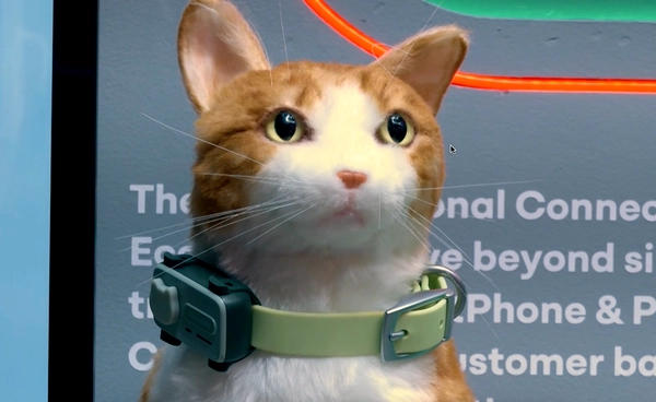 เปิดตัว “PetPhone” สมาร์ตโฟนสำหรับสัตว์เลี้ยง สื่อสารกันได้แบบเรียลไทม์