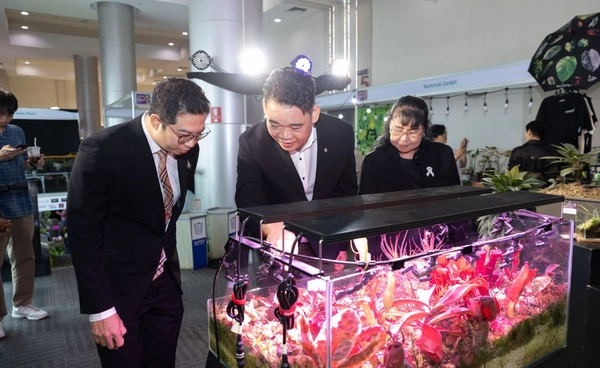 “Terrarium” สินทรัพย์สีเขียว เทรนด์ไลฟ์สไตล์คนรุ่นใหม่ทั่วโลก  