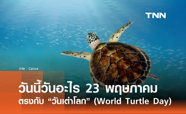 วันนี้วันอะไร 23 พฤษภาคม 2569 ตรงกับ "วันเต่าโลก" (World Turtle Day)