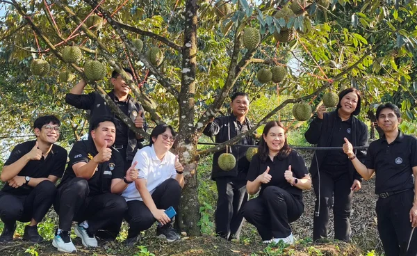 เปิด 4 มาตรการรับมือผลไม้ปี 2569