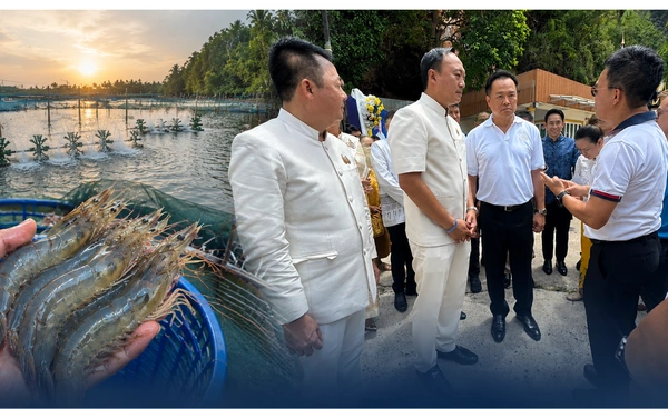 ผู้เลี้ยงกุ้งร้องนายกฯ เร่งเจรจามาเลย์ปลดล็อกแบนกุ้งไทย