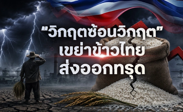 “วิกฤตซ้อนวิกฤต” เขย่าข้าวไทยส่งออกทรุด