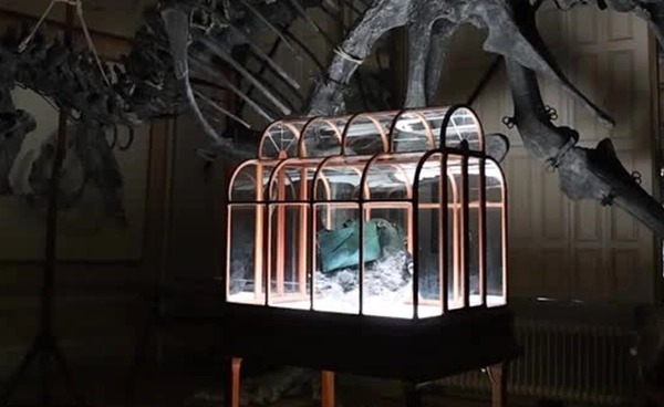 ใบเดียวในโลก! “กระเป๋าหนังไดโนเสาร์” จากคอลลาเจน T-Rex สนนราคา 17 ล้านบาท
