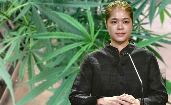 ร้านกัญชาผิดกฎหมาย! ภูเก็ตพบกว่า 500 ร้านไม่ต่อใบอนุญาต