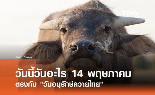 วันนี้วันอะไร 14 พฤษภาคม 2569 ตรงกับ "วันอนุรักษ์ควายไทย"