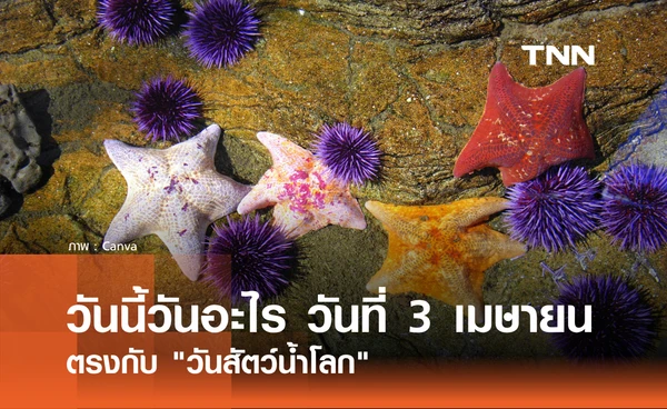 วันนี้วันอะไร วันที่ 3 เมษายน 2569 ตรงกับ "วันสัตว์น้ำโลก" (World Aquatic Animal Day)