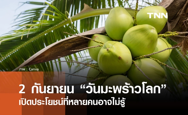 วันนี้วันอะไร 2 กันยายน 2569 ตรงกับ “วันมะพร้าวโลก” 