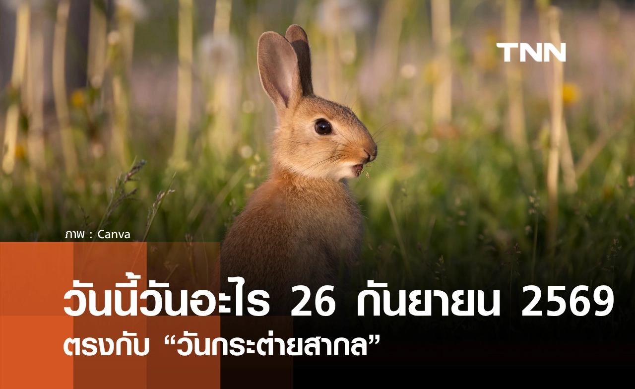 วันนี้วันอะไร วันที่ 26 กันยายน 2569 ตรงกับ “วันกระต่ายสากล”