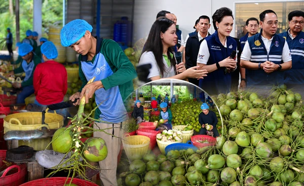 พาณิชย์ปั้น "ล้งชุมชนมะพร้าว" ดัน Zero Waste ยกระดับทั้งห่วงโซ่