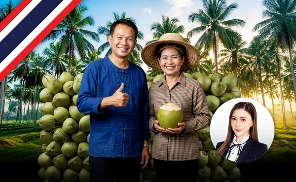 “ล้งชุมชน” โมเดลใหม่แก้ปัญหา ราคามะพร้าวตกต่ำ? ความหวังรายได้เกษตรกรยั่งยืน 