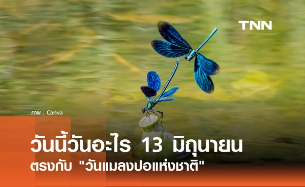 วันนี้วันอะไร 13 มิถุนายน 2569 ตรงกับ "วันแมลงปอแห่งชาติ"
