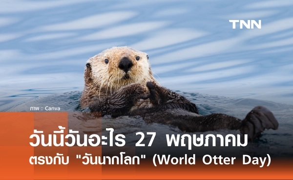 วันนี้วันอะไร 27 พฤษภาคม 2569 ตรงกับ "วันนากโลก" World Otter Day!