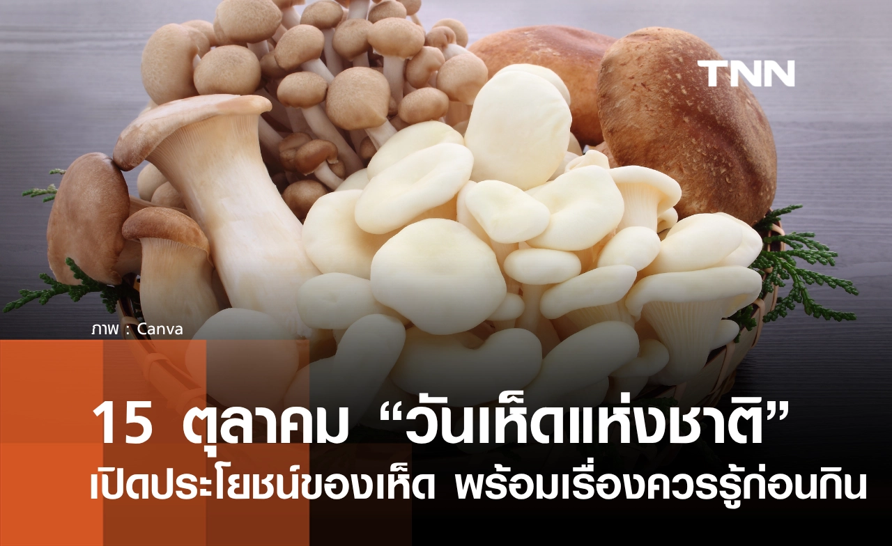 15 ตุลาคม 2569 “วันเห็ดแห่งชาติ” เปิดประโยชน์ของเห็ด พร้อมเรื่องที่ควรรู้ก่อนกิน