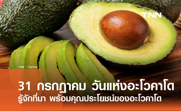 31 กรกฎาคม 2569 วันอะโวคาโดแห่งชาติ รู้จักที่มา พร้อมประโยชน์ของอะโวคาโด