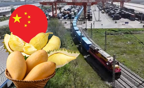  ทุเรียนล้นตลาดราคาดิ่ง เร่งขายออนไลน์