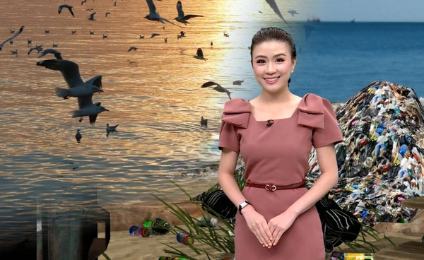 “นก” กำลังหายไป โลกร้อน-ขยะ เร่งวิกฤตระบบนิเวศ