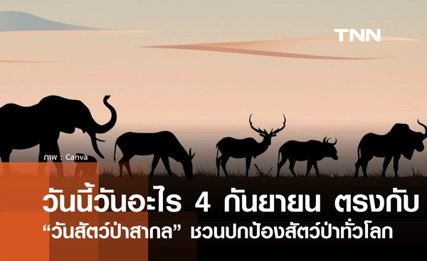 วันนี้วันอะไร 4 กันยายน 2569 ตรงกับ “วันสัตว์ป่าสากล” ชวนปกป้องสัตว์ป่าทั่วโลก