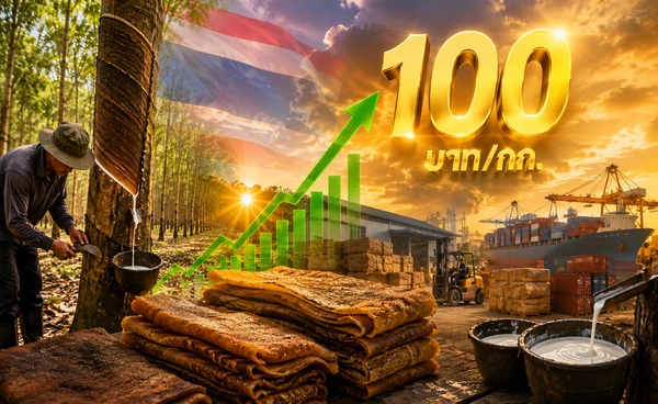 กยท.ชี้ราคายางพุ่งรอบ 14 ปี ลุ้นทะลุ 100 บาท/กก
