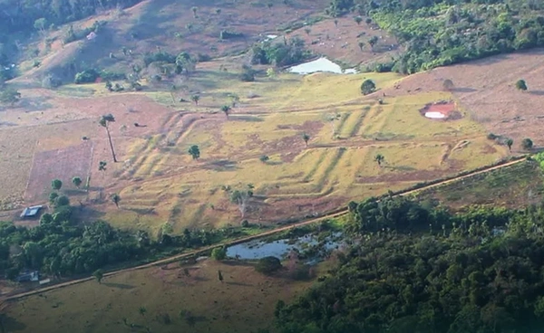AI และ LiDAR เผยร่องรอย "อากิรี" อารยธรรมลับใต้แอมะซอน