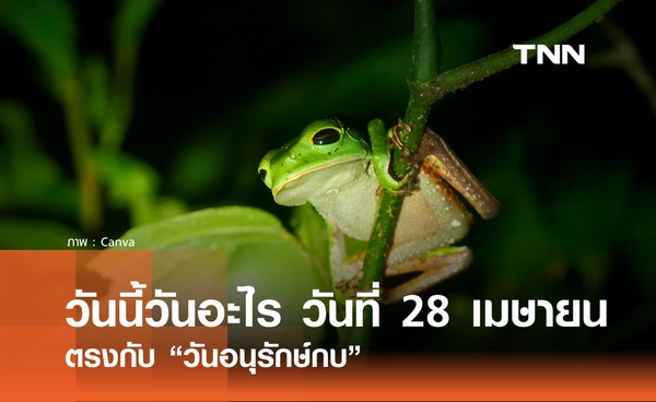 วันนี้วันอะไร? 28 เมษายน 2569 ตรงกับ "วันอนุรักษ์กบ" (Save The Frogs Day)