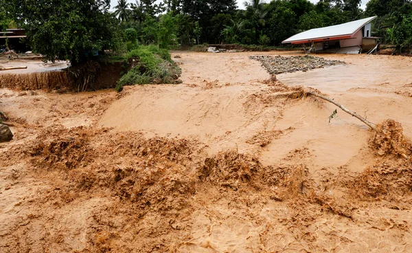 จับตา 4-7 ก.ย. ฝนตกหนัก! ปภ. เตือน 54 จังหวัด-กทม. ระวังน้ำท่วม-น้ำป่าหลาก
