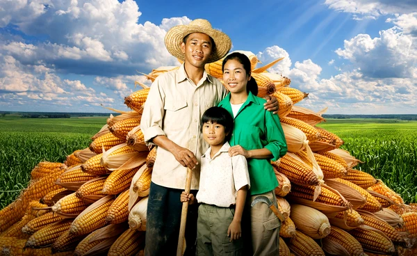 สร้างสมดุลให้เกษตรกรไทย แก้โจทย์ "มั่นคงอาหาร" ด้วยข้าวโพดเลี้ยงสัตว์จากสหรัฐฯได้อย่างไร? 