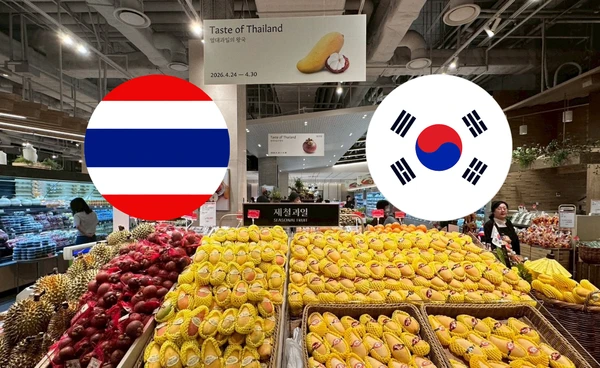 พาณิชย์ รุกตลาดเกาหลีใต้ จับมือห้างดัง "ฮุนได" จัดงานส่งเสริมการขายผลไม้ไทย ชี้มะม่วง มังคุด ทุเรียน กระแสตอบรับดี