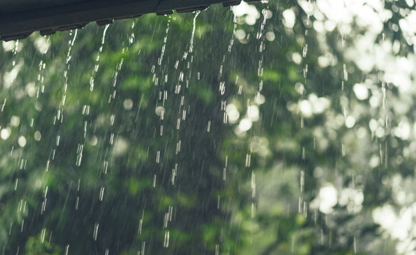 วันเลือกตั้ง 8 ก.พ.69 ฝนฟ้าคะนองหลายพื้นที่ อากาศเย็นลง กทม.ฝน 20-30%