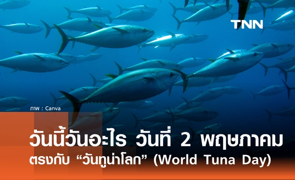 วันนี้วันอะไร? 2 พฤษภาคม 2569 ตรงกับ "วันทูน่าโลก" (World Tuna Day)