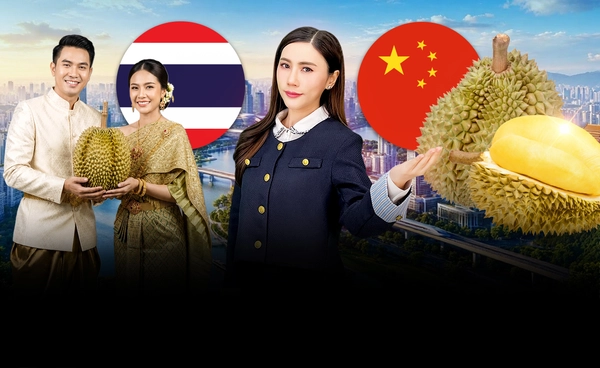 "ทุเรียนไทย" ยังจับใจจีน  4 เดือน ส่งออกพุ่ง 1.21 แสนตัน รถไฟลาว-จีน หนุนขนส่ง