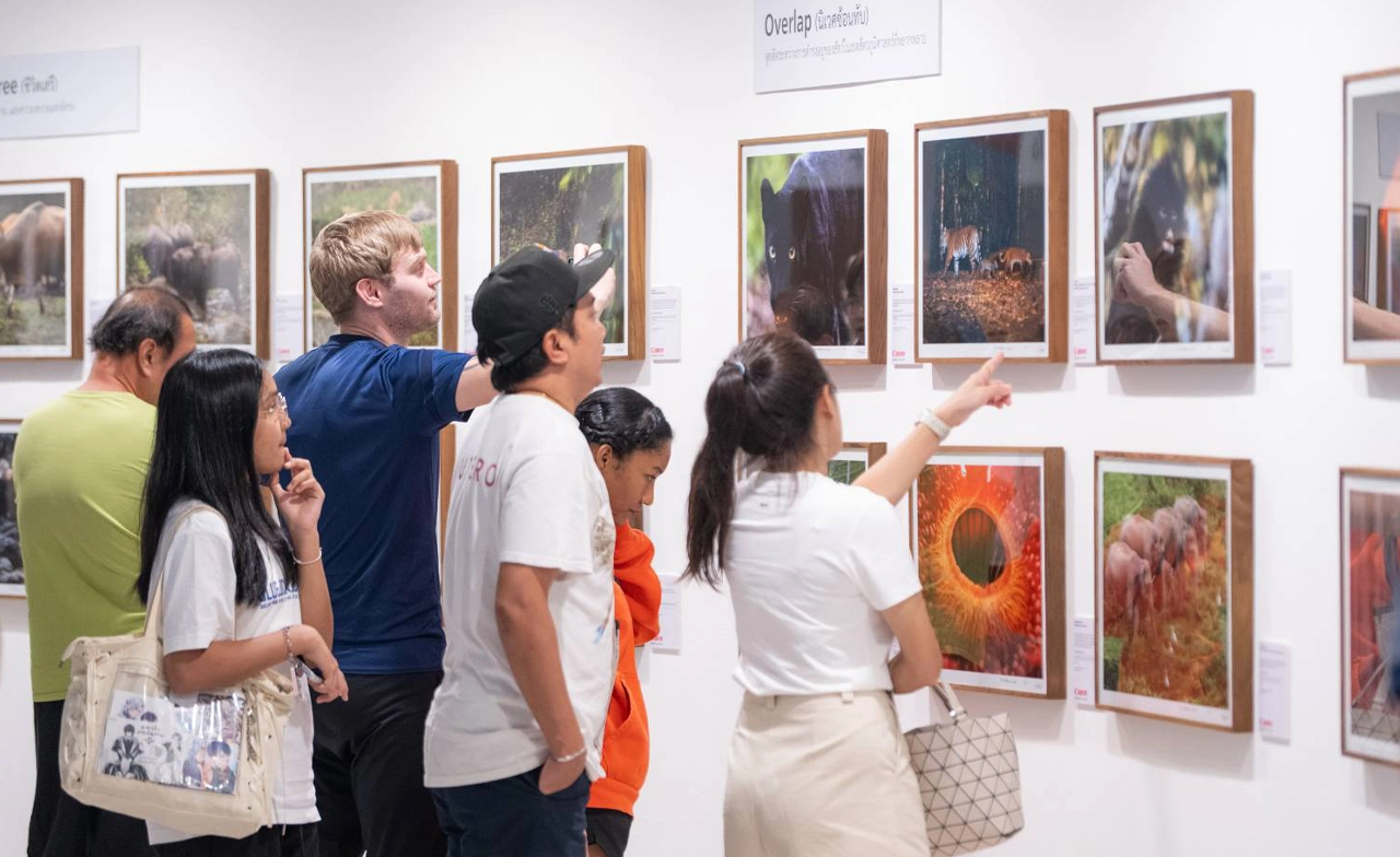 นิทรรศการ The SixNature เปิดโลกสัตว์ป่าผ่านภาพถ่าย 69 ผลงาน