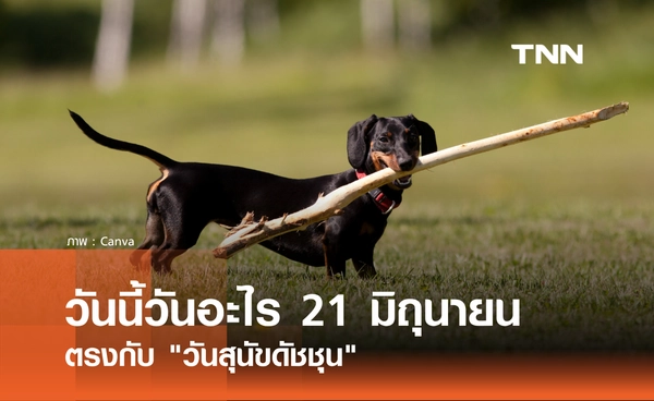 วันนี้วันอะไร 21 มิถุนายน 2569 ตรงกับ "วันสุนัขดัชชุน" (National Dachshund Day)