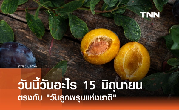 วันนี้วันอะไร 15 มิถุนายน 2569 ตรงกับ "วันลูกพรุนแห่งชาติ" ผลไม้ที่อุดมไปด้วยไฟเบอร์