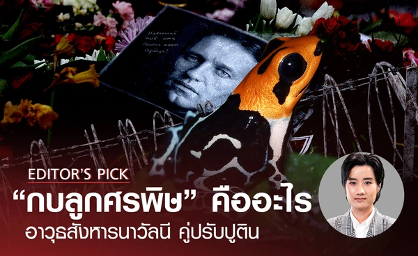 “กบลูกศรพิษ” คืออะไร อาวุธสังหาร "นาวัลนี" คู่ปรับปูติน เชื่อรัฐบาลรัสเซียอยู่เบื้องหลัง