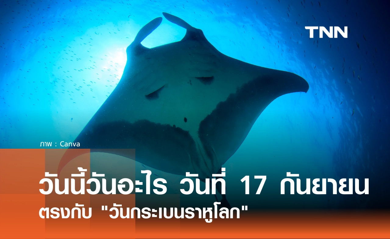 วันนี้วันอะไร วันที่ 17 กันยายน 2569 ตรงกับ "วันกระเบนราหูโลก" ยักษ์ใหญ่ใจดีแห่งท้องทะเล