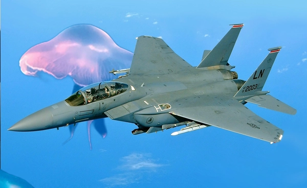 นักบิน F-15 ตกในอิหร่าน เผยภาพสุดท้ายเจอฝูงโดรนคล้ายแมงกะพรุนเล่นงาน !?