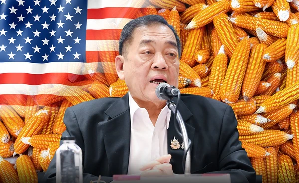 เอกชนย้ำ นำเข้าข้าวโพดสหรัฐฯ 1 ล้านตัน ไม่กระทบเกษตรกรไทย