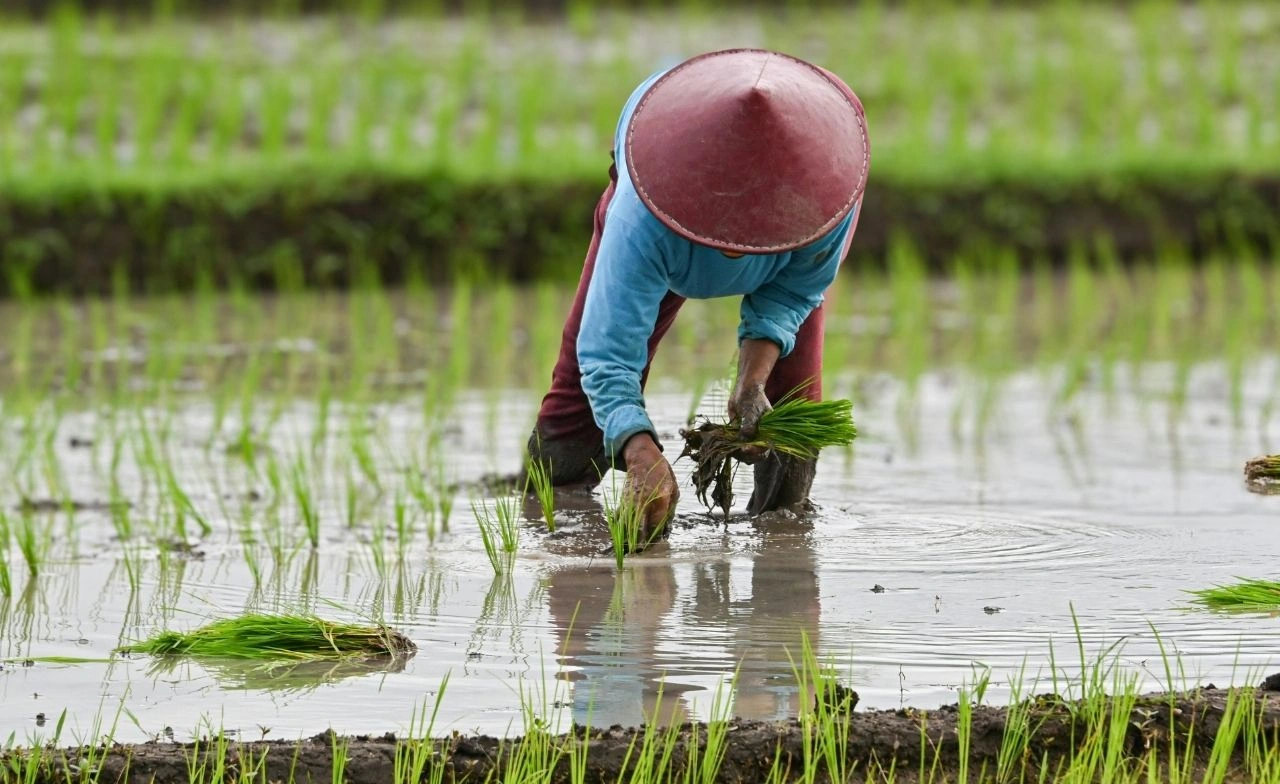 โรคไข้ดิน ตั้งแต่ต้นปีพบผู้ป่วย 3,102 ราย เสียชีวิต 136 ราย 