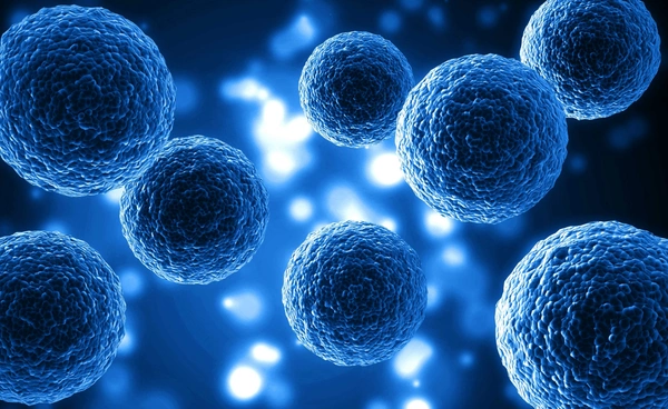 แพทย์ ม.อ. ทำสำเร็จ พัฒนา CAR-T Cell รักษามะเร็งประสิทธิภาพสูง