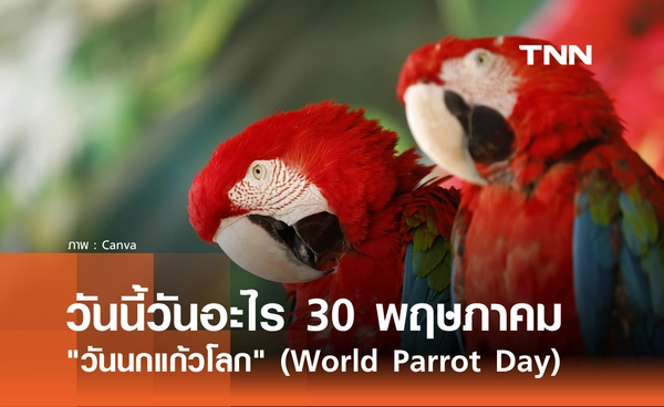 วันนี้วันอะไร 31 พฤษภาคม 2569 ตรงกับ "วันนกแก้วโลก" (World Parrot Day)