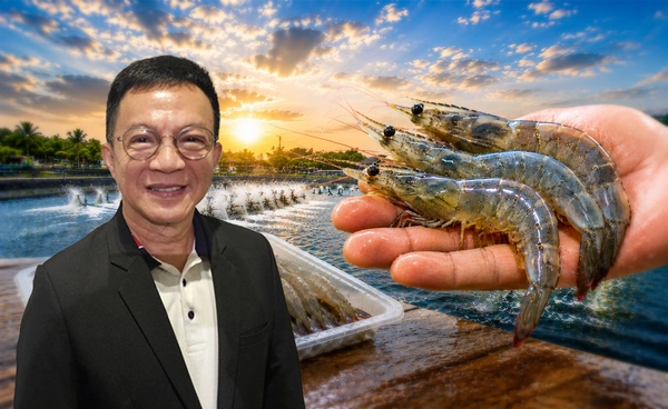 "กลุ่มผู้เลี้ยงกุ้ง" ร้องรัฐเร่งกู้วิกฤตอุตฯกุ้งไทย 