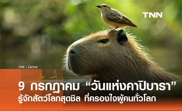 10 กรกฎาคม 2569 ตรงกับ "วันคาปิบาราแห่งชาติ" รู้จักสัตว์โลกสุดชิล ที่ครองใจผู้คนทั่วโลก