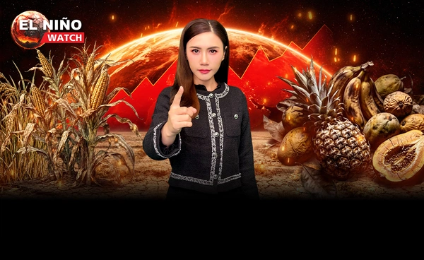 "เอลนีโญ" 2026 เขย่ามั่นคงอาหารโลก ไทยพร้อมหรือยัง?