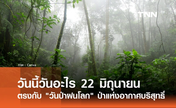 วันนี้วันอะไร 22 มิถุนายน 2569 ตรงกับ "วันป่าฝนโลก" (World Rainforest Day)