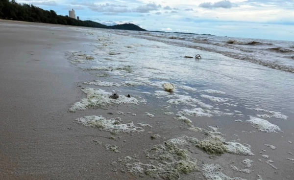หาดแม่รำพึง น้ำทะเลสีเขียว เป็นปรากฏการณ์แพลงก์ตอนบลูม
