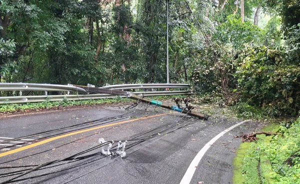 ฝนถล่ม “ดอยสุเทพ” ลมแรงพัดต้นไม้ล้มทับเสาไฟ