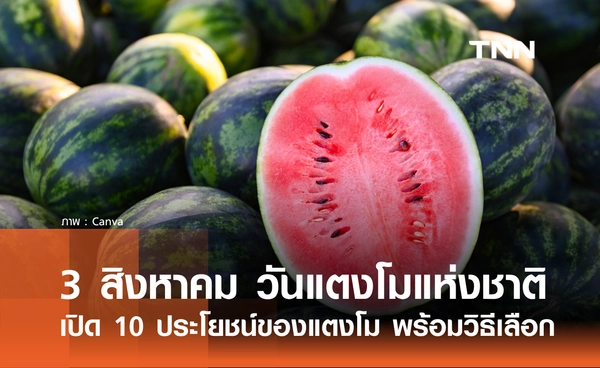 3 สิงหาคม 2569 วันแตงโมแห่งชาติ เปิด 10 ประโยชน์ของแตงโม พร้อมวิธีเลือกให้หวานกรอบ